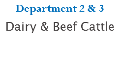 Department 2 & 3 Dairy & Beef Cattle