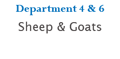 Department 4 & 6 Sheep & Goats